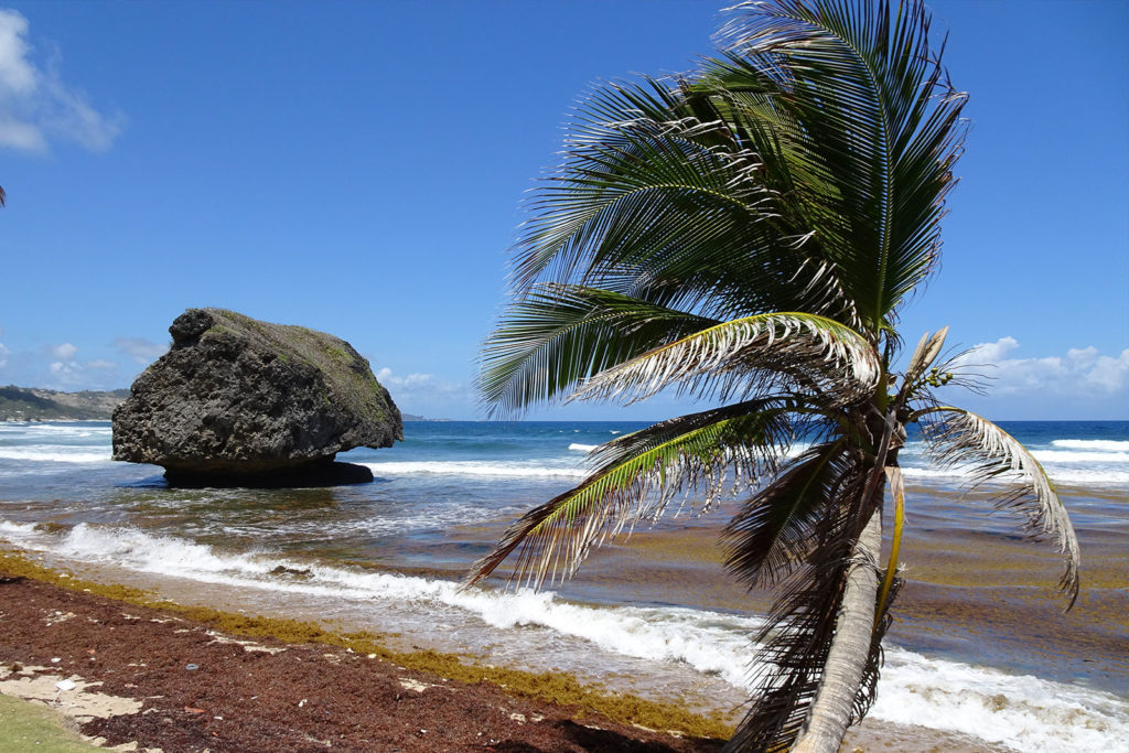 Bathsheba auf Barbados