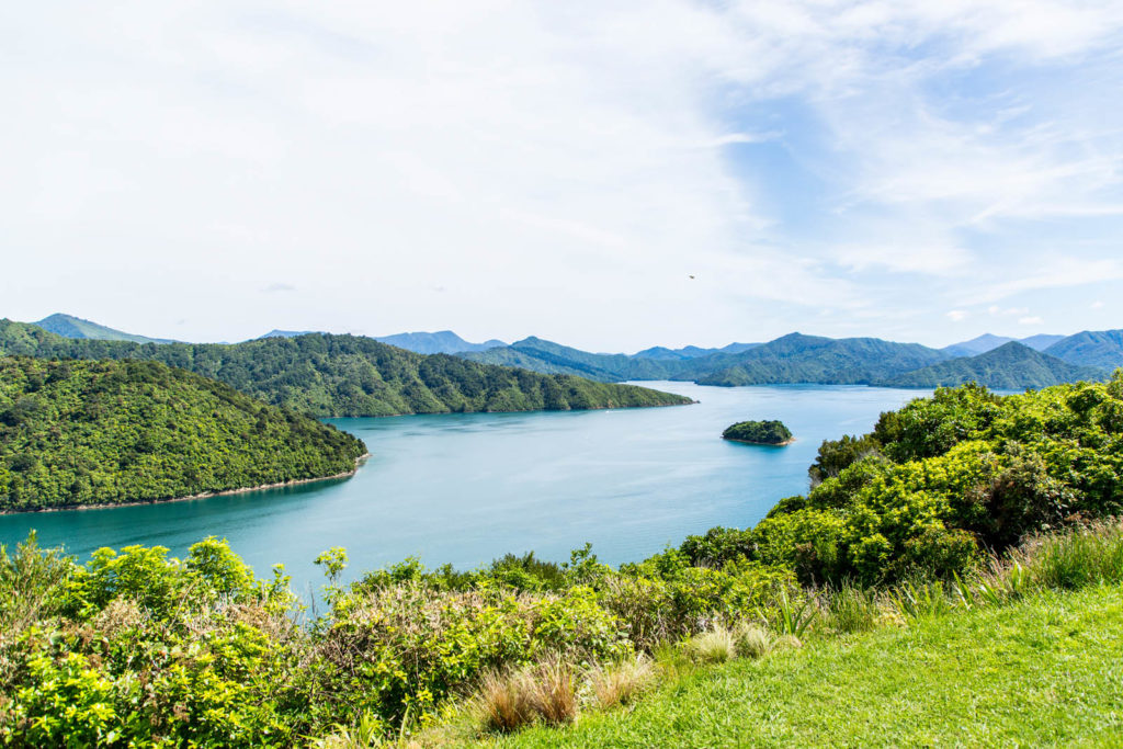 Blick auf Fjord in Neuseeland