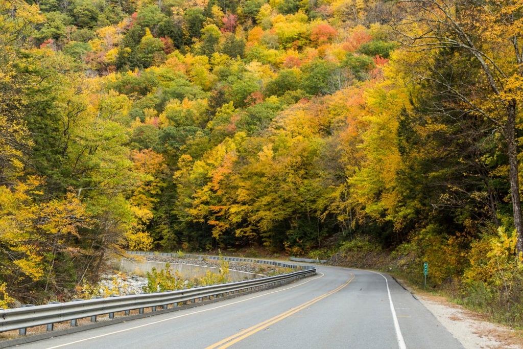 Fall Foliage in Amerika